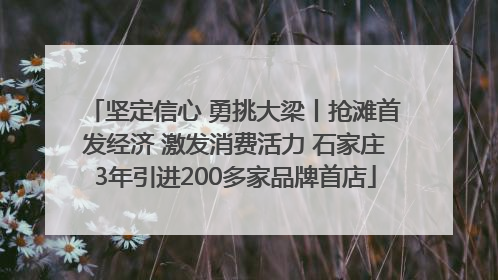 坚定信心 勇挑大梁丨抢滩首发经济 激发消费活力 石家庄3年引进200多家品牌首店