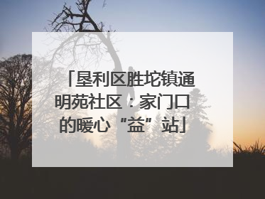 垦利区胜坨镇通明苑社区：家门口的暖心“益”站