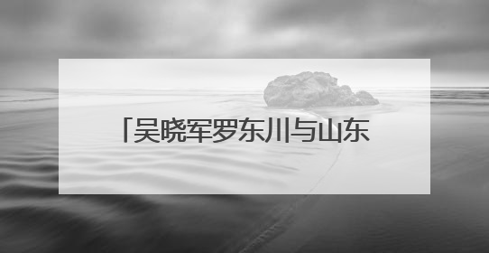 吴晓军罗东川与山东大学党委书记任友群校长李术才一行座谈