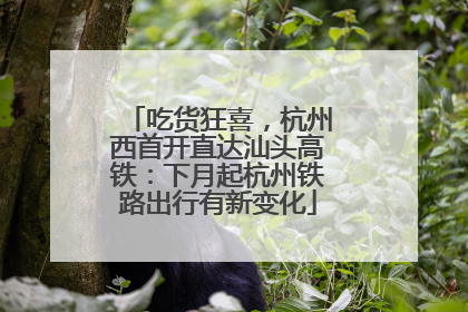吃货狂喜，杭州西首开直达汕头高铁：下月起杭州铁路出行有新变化
