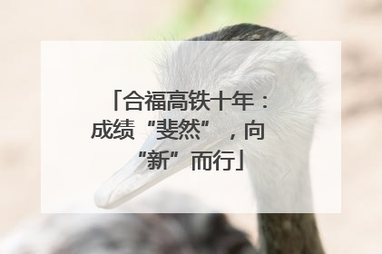 合福高铁十年：成绩“斐然”，向“新”而行