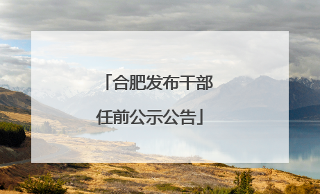 合肥发布干部任前公示公告
