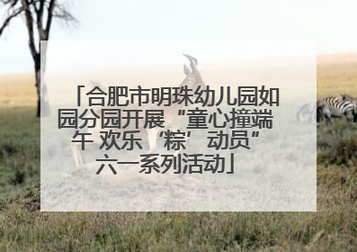 合肥市明珠幼儿园如园分园开展“童心撞端午 欢乐‘粽’动员”六一系列活动