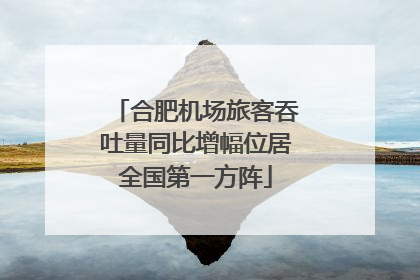合肥机场旅客吞吐量同比增幅位居全国第一方阵
