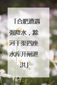 合肥遭遇强降水，滁河干渠四座水库开闸泄洪