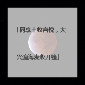 同享丰收喜悦，大兴瀛海麦收开镰