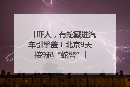 吓人，有蛇藏进汽车引擎盖！北京9天接9起“蛇警”