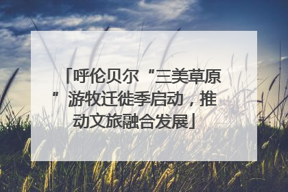 呼伦贝尔“三美草原”游牧迁徙季启动，推动文旅融合发展