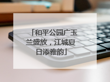 和平公园广玉兰盛放，江城夏日添雅韵