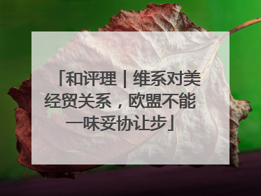 和评理｜维系对美经贸关系，欧盟不能一味妥协让步