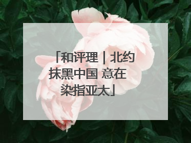 和评理｜北约抹黑中国 意在染指亚太