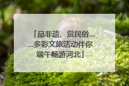 品非遗、赏民俗……多彩文旅活动伴你端午畅游河北