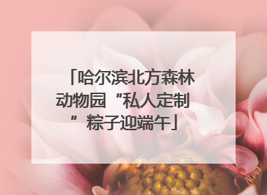 哈尔滨北方森林动物园“私人定制”粽子迎端午