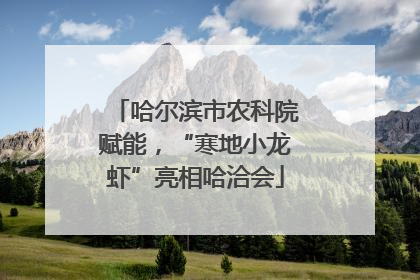 哈尔滨市农科院赋能，“寒地小龙虾”亮相哈洽会