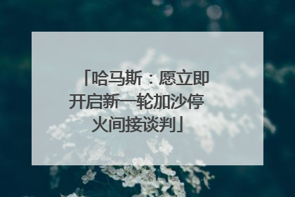 哈马斯：愿立即开启新一轮加沙停火间接谈判
