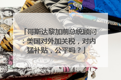 哥斯达黎加前总统顾问：美国对外加关税，对内猛补贴，公平吗？
