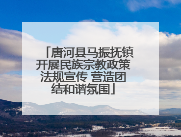 唐河县马振抚镇开展民族宗教政策法规宣传 营造团结和谐氛围