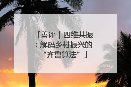 善评｜四维共振：解码乡村振兴的“齐鲁算法”