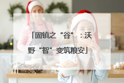 固镇之“谷”：沃野“智”变筑粮安