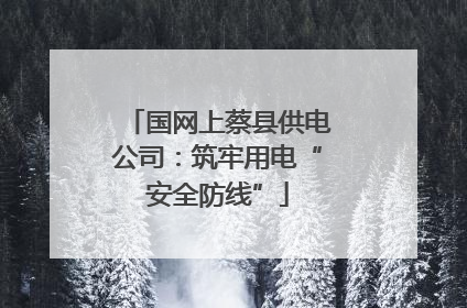 国网上蔡县供电公司：筑牢用电“安全防线”