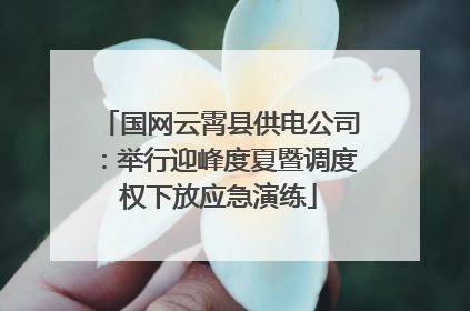 国网云霄县供电公司：举行迎峰度夏暨调度权下放应急演练