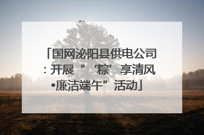 国网泌阳县供电公司：开展“‘粽’享清风 •廉洁端午”活动