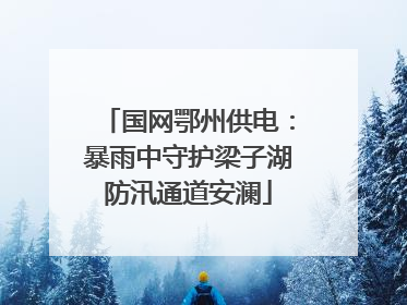 国网鄂州供电：暴雨中守护梁子湖防汛通道安澜