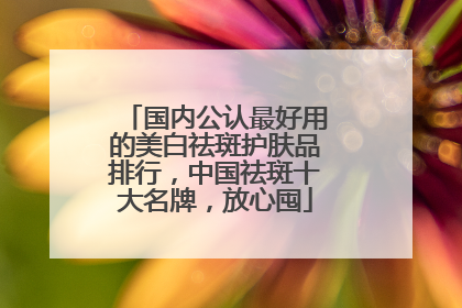 国内公认最好用的美白祛斑护肤品排行，中国祛斑十大名牌，放心囤