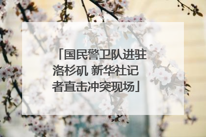 国民警卫队进驻洛杉矶 新华社记者直击冲突现场
