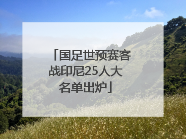 国足世预赛客战印尼25人大名单出炉