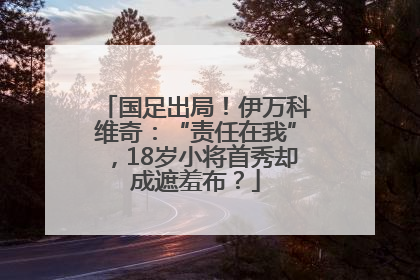 国足出局！伊万科维奇：“责任在我”，18岁小将首秀却成遮羞布？