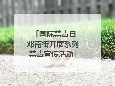 国际禁毒日 邓南街开展系列禁毒宣传活动