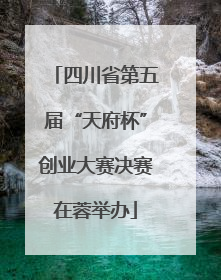 四川省第五届“天府杯”创业大赛决赛在蓉举办