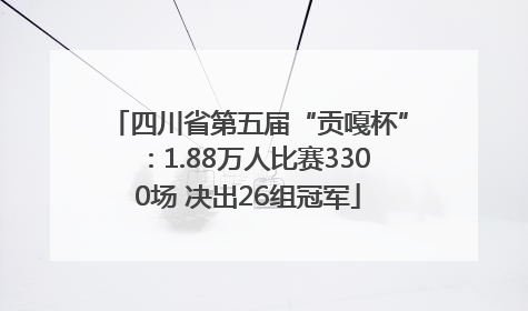 四川省第五届“贡嘎杯”：1.88万人比赛3300场 决出26组冠军