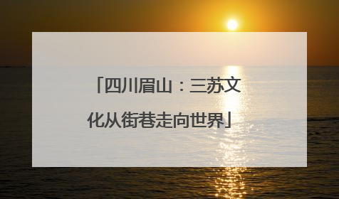 四川眉山：三苏文化从街巷走向世界