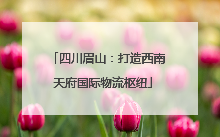 四川眉山：打造西南天府国际物流枢纽