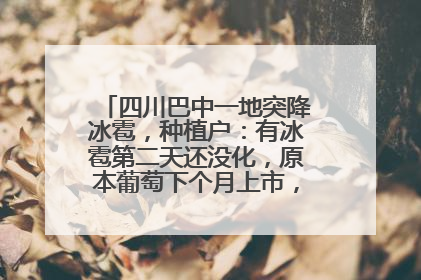 四川巴中一地突降冰雹，种植户：有冰雹第二天还没化，原本葡萄下个月上市，现在全被打落