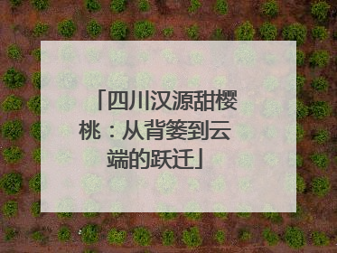 四川汉源甜樱桃：从背篓到云端的跃迁