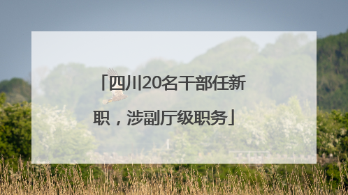 四川20名干部任新职，涉副厅级职务
