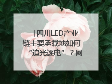 四川LED产业链主要承载地如何“追光逐电”？网络名人走进攀枝花找答案｜网络名人四川行