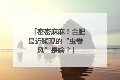 密密麻麻！合肥最近频现的“虫卷风”是啥？