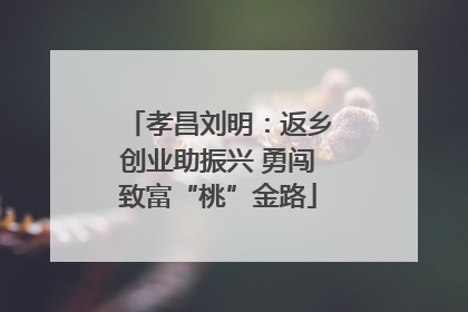 孝昌刘明：返乡创业助振兴 勇闯致富“桃”金路