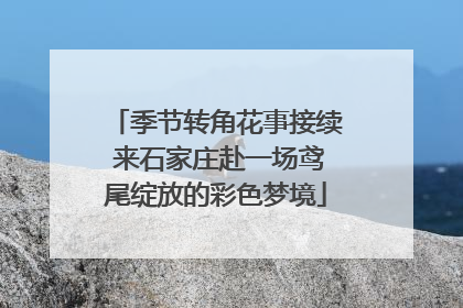 季节转角花事接续 来石家庄赴一场鸢尾绽放的彩色梦境