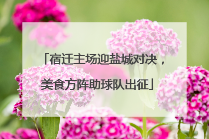 宿迁主场迎盐城对决，美食方阵助球队出征