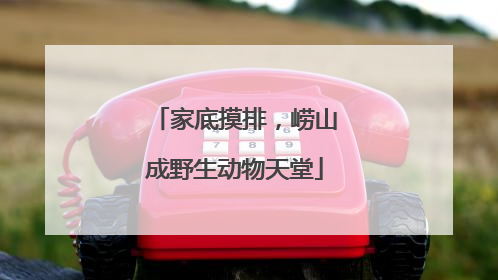 家底摸排，崂山成野生动物天堂