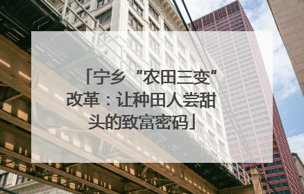 宁乡“农田三变”改革：让种田人尝甜头的致富密码