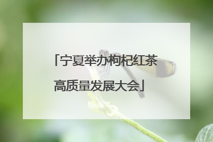宁夏举办枸杞红茶高质量发展大会