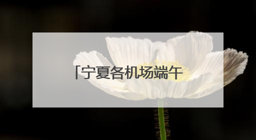 宁夏各机场端午假期运送旅客7.29万人次
