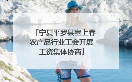 宁夏平罗县塞上春农产品行业工会开展工资集体协商