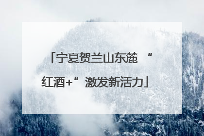 宁夏贺兰山东麓 “红酒+”激发新活力